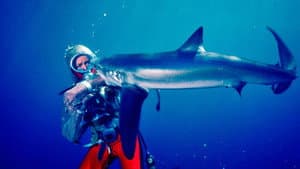 Jugando con tiburones — foto 1