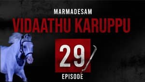 Episodio 29
