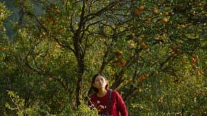 छोरा जस्तै — foto 2