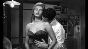 La fortuna di essere donna — foto 7