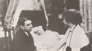 Perdida — foto 1