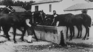 Abreuvoir — foto 1