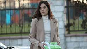 Episodio 14