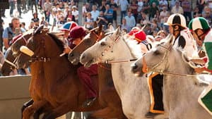 Palio — foto 1