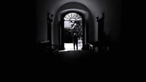 Come la notte — foto 5