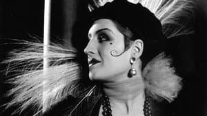 Lady of the Night — foto 1