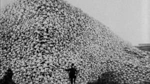 The Great Buffalo Saga — foto 2