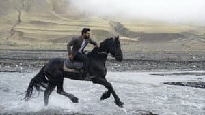 వినయ విధేయ రామ — foto 4