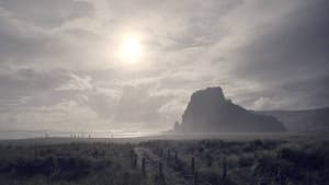 Black Coast Vanishings — foto 2