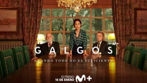Galgos — foto 3
