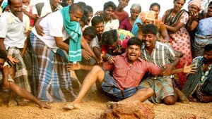 முந்திரிக்காடு — foto 5