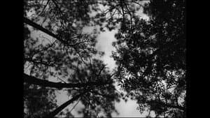 Frankenstein — foto 1