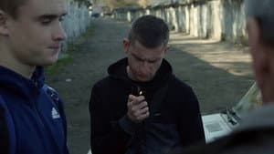 Дорослий — foto 1