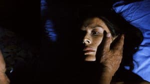 L'Intrus — foto 1