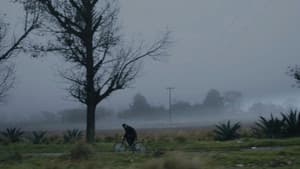 Tempestad — foto 1