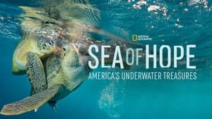 Sea of Hope: America's Underwater Treasures — foto 6