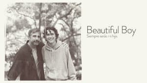 Beautiful Boy: Siempre serás mi hijo — foto 2