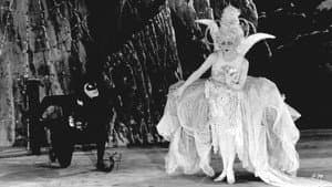 The White Moth — foto 1