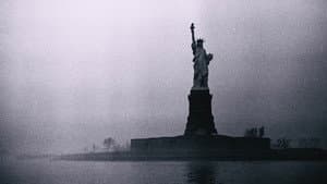 The garden florist — foto 5