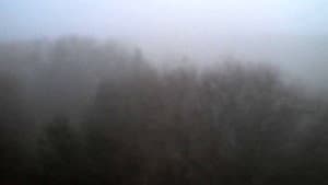 The Land Above The Trees — foto 1