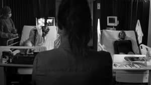 The Original — foto 3