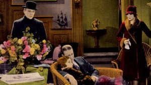 Don't Tell the Wife — foto 1