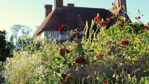 Great British Gardens: Season by Season with Carol Klein — foto 2
