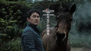 月光下的回頭馬 — foto 1