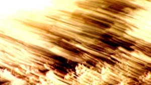 dentro de la luz; un fuego — foto 3
