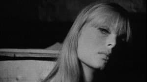 Screen Test [ST238]: Nico — foto 1