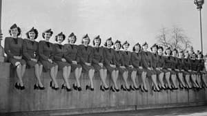Flying Stewardess — foto 1