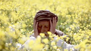ماڵاوا ئانالۆگ — foto 3