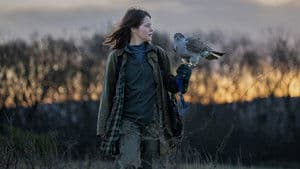 H Is for Hawk — foto 4