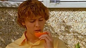 Oranges — foto 2