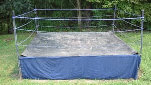 Backyard Dogs — foto 1