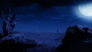 Moon Garden — foto 5