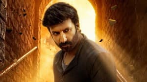 విశ్వం — foto 10