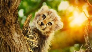 Salvajes por naturaleza — foto 2