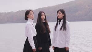 白の花実 — foto 1