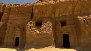 Wild Arabia — foto 5