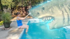 Ouija Shark — foto 1