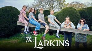 The Larkins — foto 6