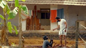 ഷെയ്ഡ്സ് ഓഫ് ലൈഫ് — foto 4