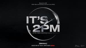 2PM 15th Anniversary Concert "It's 2PM" — foto 1