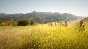 Escape Through Africa — foto 6