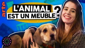 Episodio 9