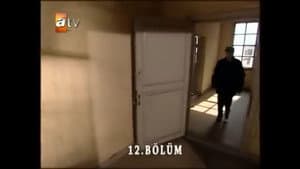 Episodio 12