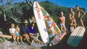 Birth of The Endless Summer: Discovery of Cape St.Francis — foto 2