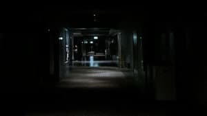 REEL — foto 1
