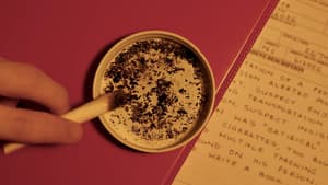 MR. SELF DESTRUCT — foto 1
